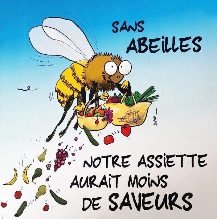 claireparisjazz's tweet image. 📣🐝📣
#Avignon 1er Salon International du Matériel Apicole du 6 au 8 décembre #SimApi #Abeilles #Vaucluse #Provence #Ruches
#Apiculteurs #BurnOut #Miel #pollinisation #SaveTheBees @MaRegionSud #AujourdHuiPourLApicultureDeDemain