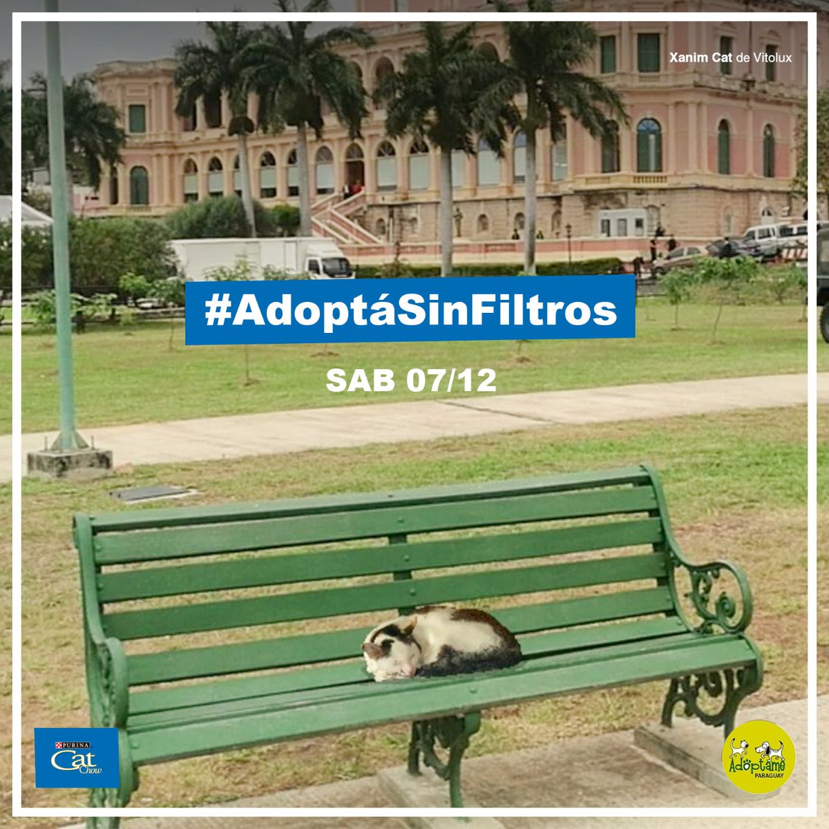 Juanctpy's tweet image. Si buscas una mascota, en este diciembre elegí una que sea de puro ♥️! La feria de @AdoptamePy se hace este sábado en el Mariscal!🐕🐱🐾