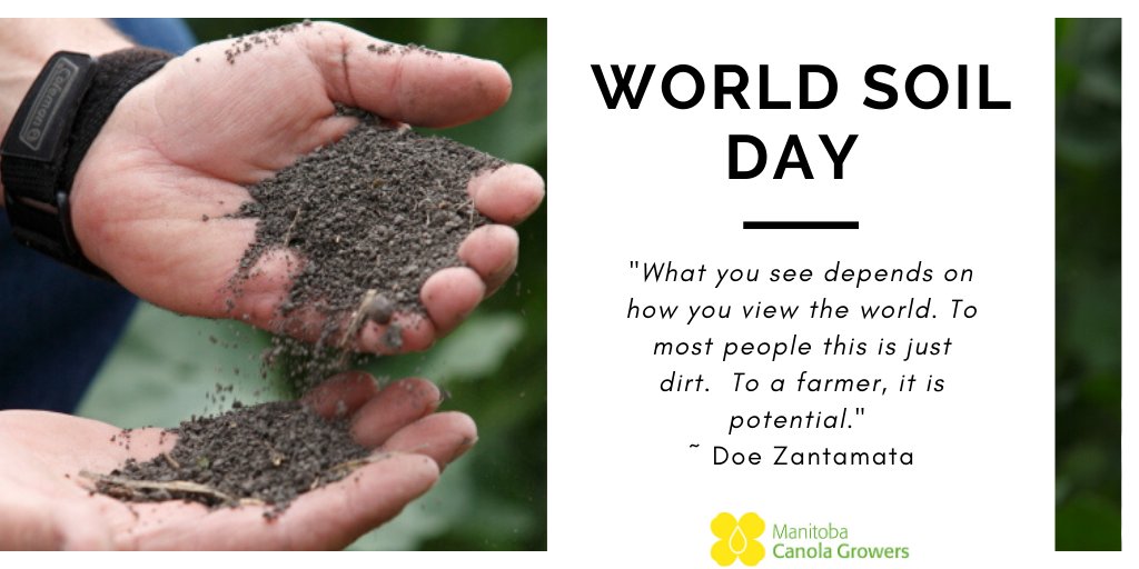 Happy World Soil Day!
