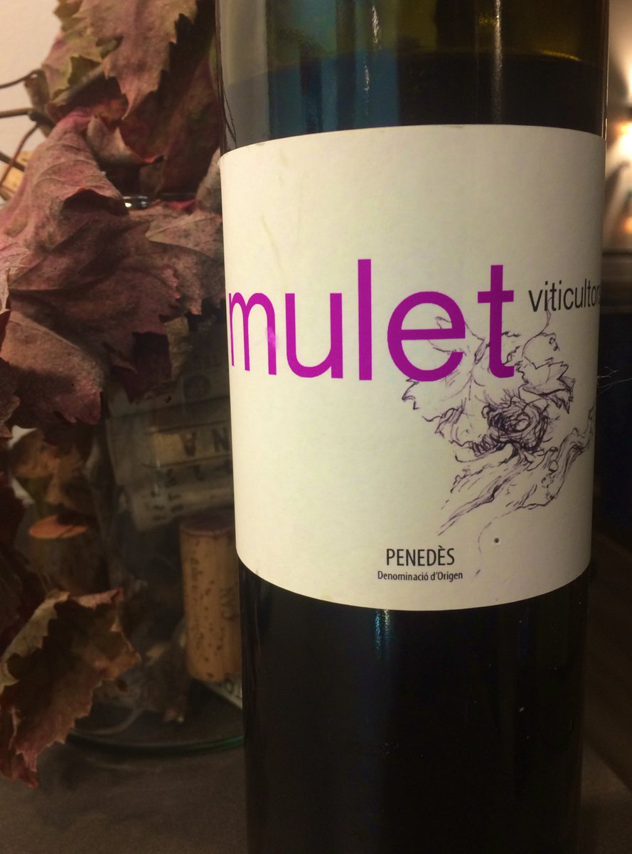 xavimaja's tweet photo. Un privilegi poder gaudir d’aquesta 146a ampolla d’un cabernet franc perfectament elaborat de @MuletViticultor. Explica un relat en nas que en boca pren tot el sentit. Ample i rodó. Molt bon vi. @dopenedes #vinsecològics #vicatalà https://t.co/YJKA9kGW2n