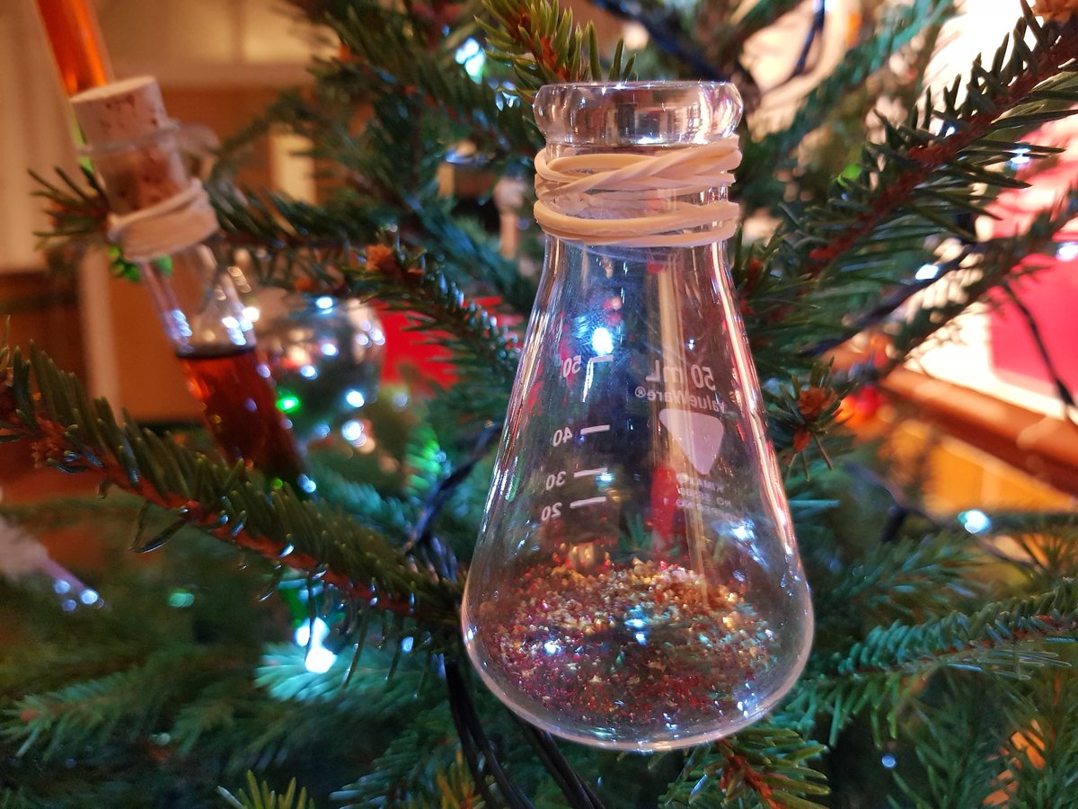 USW_Chem_PharmS's tweet photo. Extra special and sparkly chemistry themed decorations on our #Chemistree in the foyer of the School of Applied Sciences. All prepared by our amazing chemistry technicians. Well done all!!.. #conicalflasks #rbfs #volumetrics #testtubes @UniSouthWales @uswstaff @RoySocChem https://t.co/rvqvUiPYRH