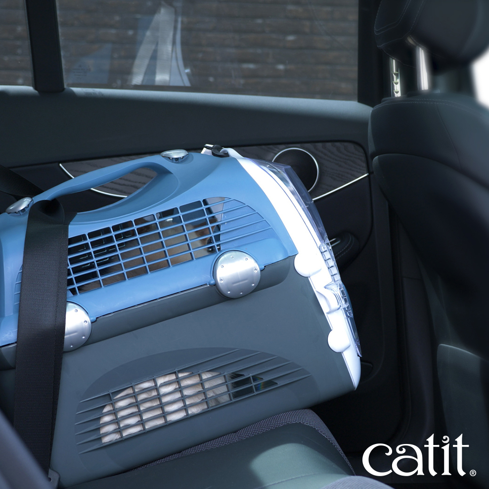 cabrio catit