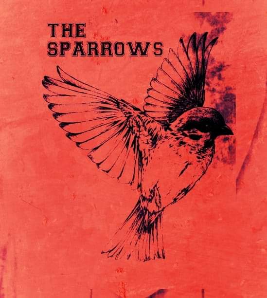 MaisiesBar's tweet photo. The Sparrows are back this Saturday night 🎶🎸🎶
#LiveMusic
#Dungarvan https://t.co/yxjUv4hFNa