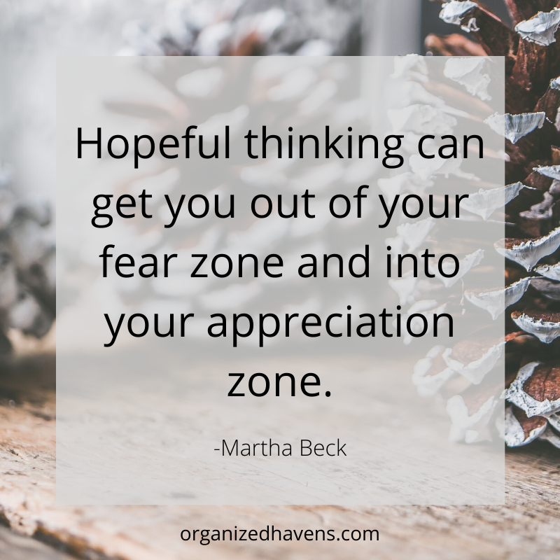 OrganizerTaryn's tweet photo. Hopeful thinking can get you out of your fear zone and into your appreciation zone. #quote #inspiration https://t.co/Eh7KXlrLOF
