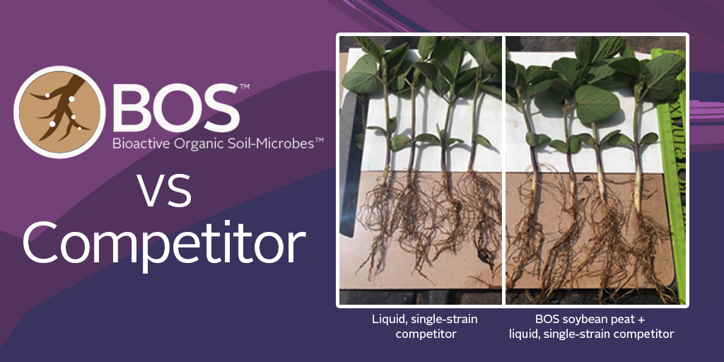 NutriAg's tweet photo. Did you know #DoubleInoculation helps to maintain healthy rhizobial populations, avoid depleted N mid-season and increase yields? Ask your NutriAg rep about BOS to learn more. https://t.co/1znKefshMR