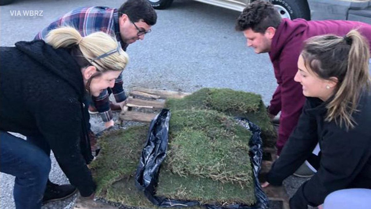 Mike Hayes At Pmhayesii Twitter