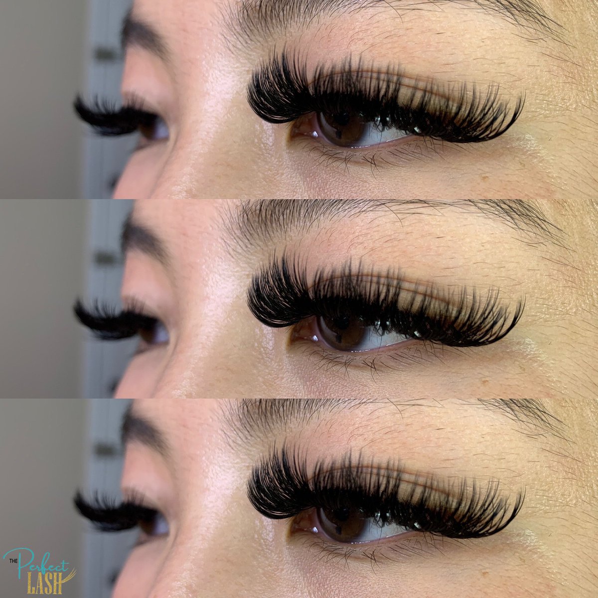 ThePerfect_Lash's tweet photo. Life is so much better when your lashes are Perfect.β¨
βββββββββββββββ
Lash Formula: 0.05 D 14-17mm
The Perfect Volume: $115
Fills: $60
βββββββββββββββ
The Perfect Lash Artist: Arleana
βββββββββββββββ-
#ThePerfectLashBHM #MegaVolume #Volume #VolumeLashes #uab21 #uab20 #uab22 https://t.co/jTIKc91HWe