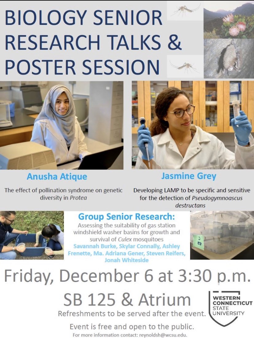 wcsubiology's tweet photo. Come join us for Senior Research presentations THIS Friday December 6th at 3:30 pm in SB125 and the atrium!

This event is free and open to the public, with refreshments to be served after the event. https://t.co/j3VeoG9MyI