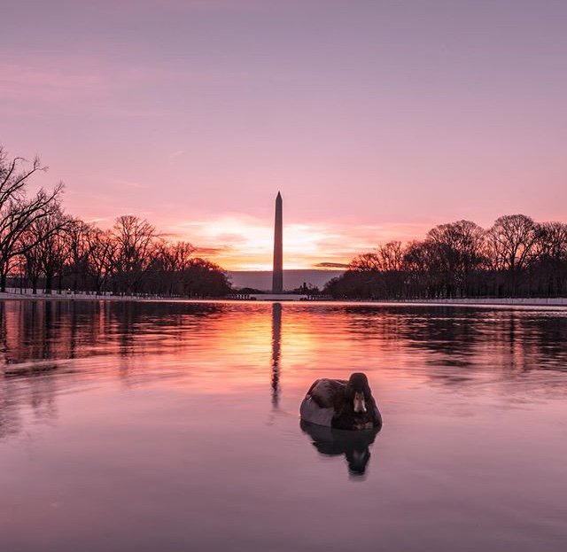 Ending the day right 💕 
•••
📸: <a href="/dccitygirl/">DC CityGirl</a>