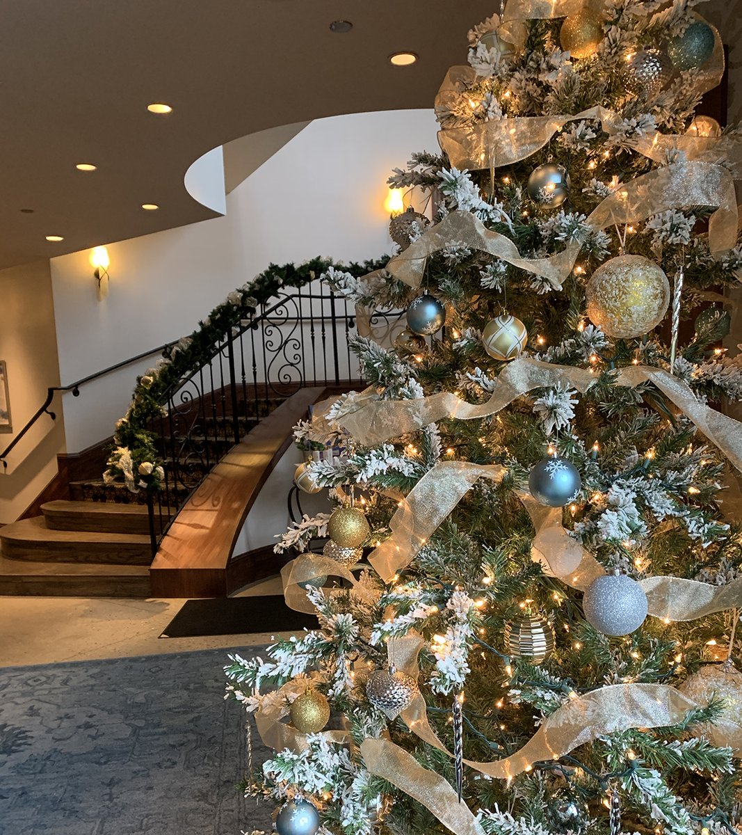 MirbeauPlymouth's tweet photo. O Christmas tree, O Christmas tree,
How lovely are thy branches. 🎄
•
•
•
•
#MirbeauMoment
#LifeClassicallyBalanced
#SpaMirbeau
#HolidayDecorations https://t.co/Jj5VfcZ3Sj