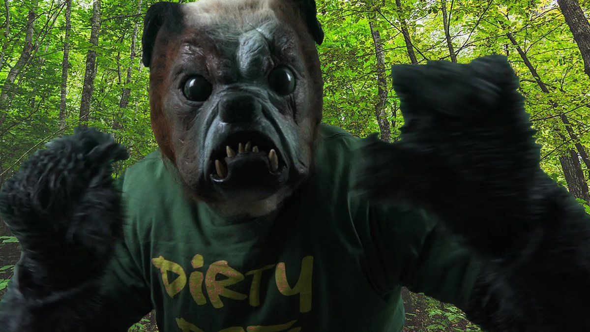 Are Dogs Or Cats Dirtier