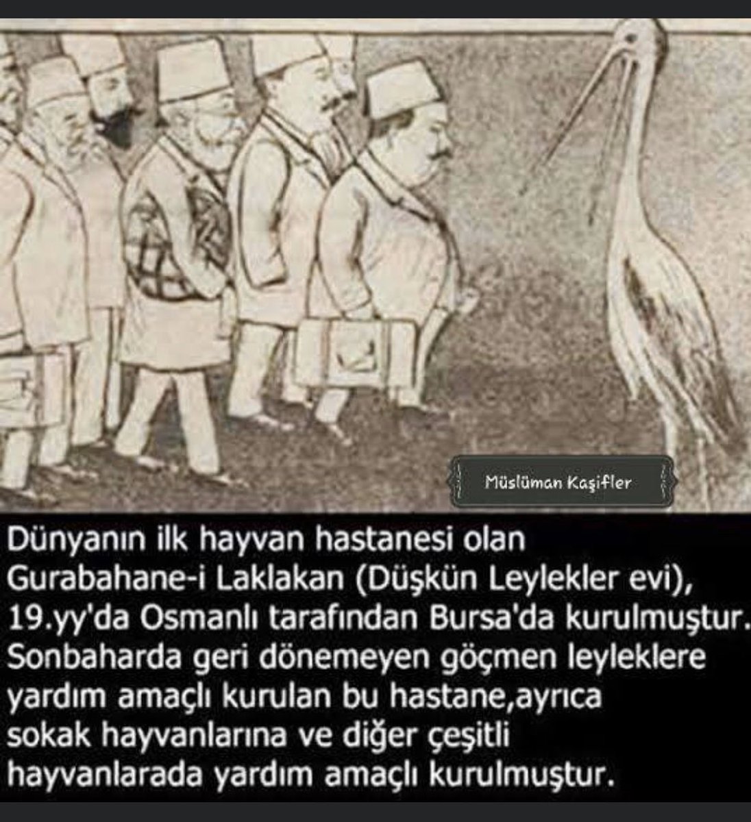 ORHANOSMANOGLU's tweet photo. Yorumsuz https://t.co/fKCylKArT8