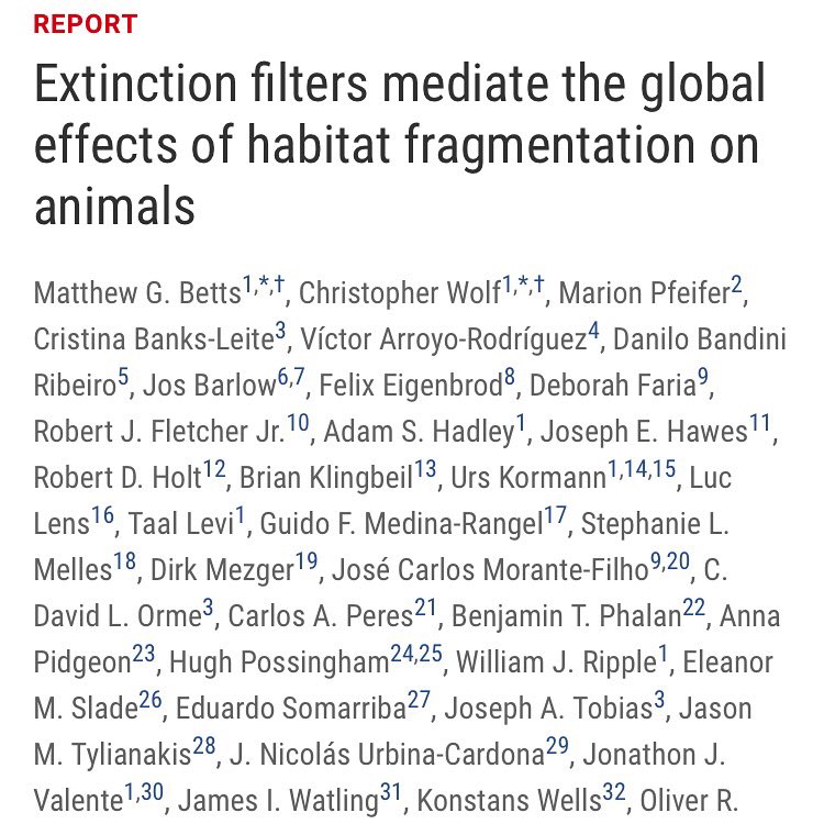 Leac_Uesc's tweet image. Oi gente, segue o estudo que o Prof. @morante_filho e Professora @deborahbrisbane participaram - #Extinction filters mediate the #globaleffects of #habitatfragmentation on animals - publicado hoje na revista @sciencemagazine  acessado no link science.sciencemag.org/content/366/64…