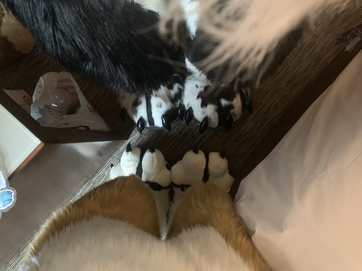 Jack Collie tweet media