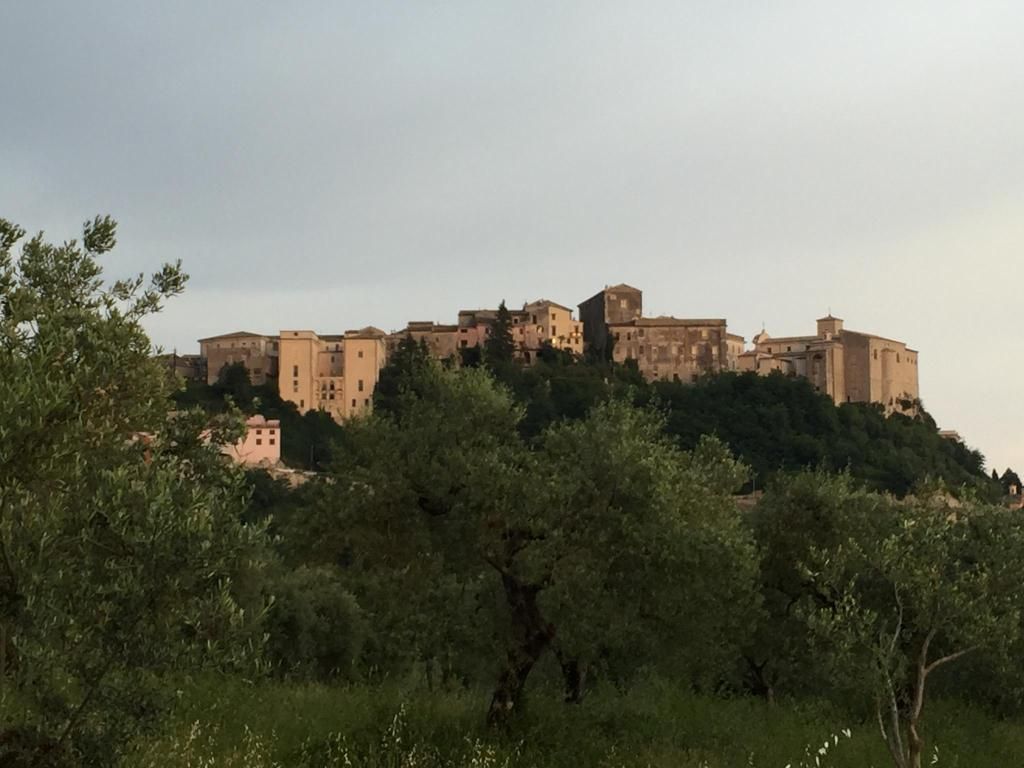 WildHeartItaly's tweet photo. Join us for the #WriteintheWildHeartofItaly storytelling retreat 10-16 May 2020. Hosted by Hollywood screenwriter &amp; TV development executive Katiedid Langrock - a completely unique sensory and cultural adventure in the 'hidden' region of #Ciociaria >> https://t.co/Ed7EK4B89G https://t.co/hFzIBX7byD