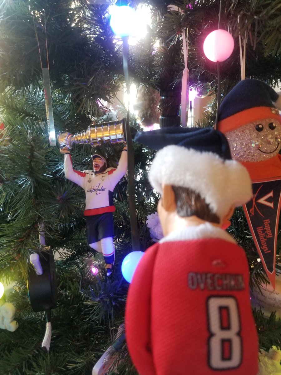 JustCapsTweets's tweet photo. Ovi spent a good portion of the afternoon admiring his favorite Christmas ornament. #ALLCAPS #Ovi #Gr8 #MerryCapsmas #CappyHolidays #OviTheElf https://t.co/Z3k7rmtjtf