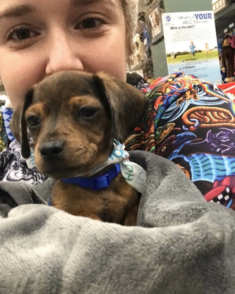 marmar_24's tweet photo. HAPPY “GOTCHA DAY”‼️ At the end of the day I’m not sure who saved who!? but so thankful for this wiener for all the joy he brings into my life ❤️#2yearsanniversary #ozzy #myboy https://t.co/CXaYm3TeGS