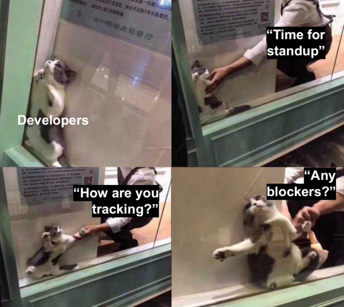 Cat stuck between a window and some furniture. Someone is trying to pull them out:

"Time for standup"

"How are you tracking?"

"Any blockers?"