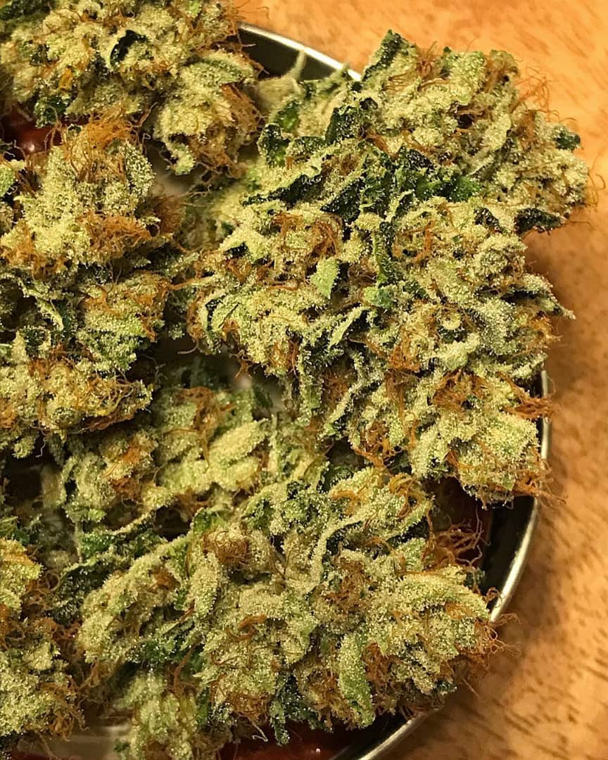 cannab420's tweet photo. passez vos commandes sur Wickr :spirit4201
 
#Paris #92i #fumeur #laweed #cbd #cbdfrance #paris93 #bordeaux #thc #bedo #paris16 #joint #parisbynight #damso #beuh  #weed #parisien #marseille #shit #LaMaisonDuChanvre #justice #police #chanvre #industrie #habillement #alimentation https://t.co/qtrcwVu3wD