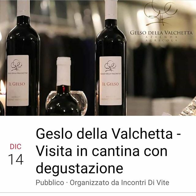 IncontridiVite's tweet photo. #visitaincantina con #degustazione sabato 15 dicembre tutte le info su
https://t.co/cXoGIBkmI4
#tasting  #italianwine #winetasting #wine https://t.co/g40w0NyV6Y https://t.co/2GurMHFdtl