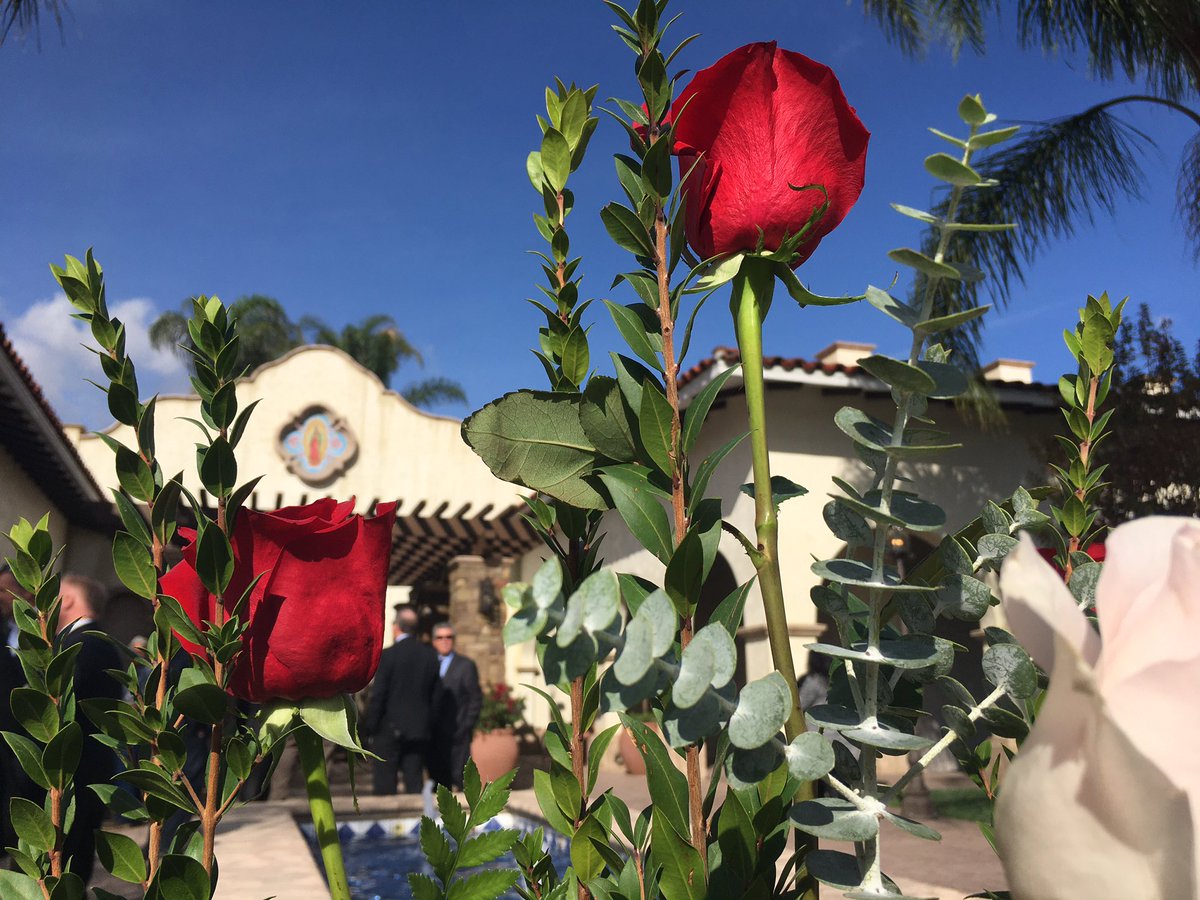 mamanoticias's tweet photo. Honra tu fe y tu herencia con el legado del nuevo mausoleo en honor a nuestra Señora de Guadalupe de @RoseHillsMP #LaVirgenRoseHills #ad https://t.co/FLtzvTY0k6