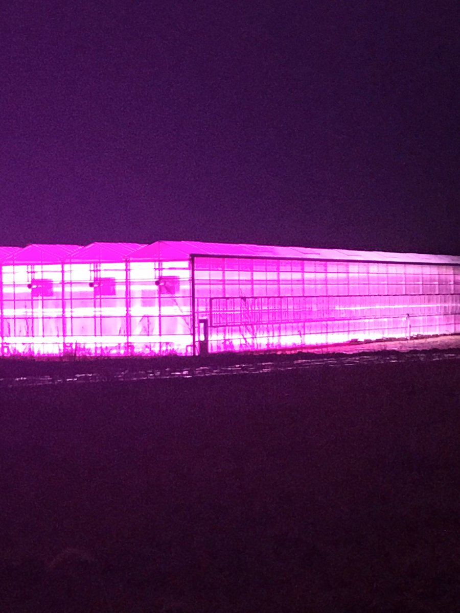terrideboer's tweet photo. #wow #groundview https://t.co/bMDHpGykZi