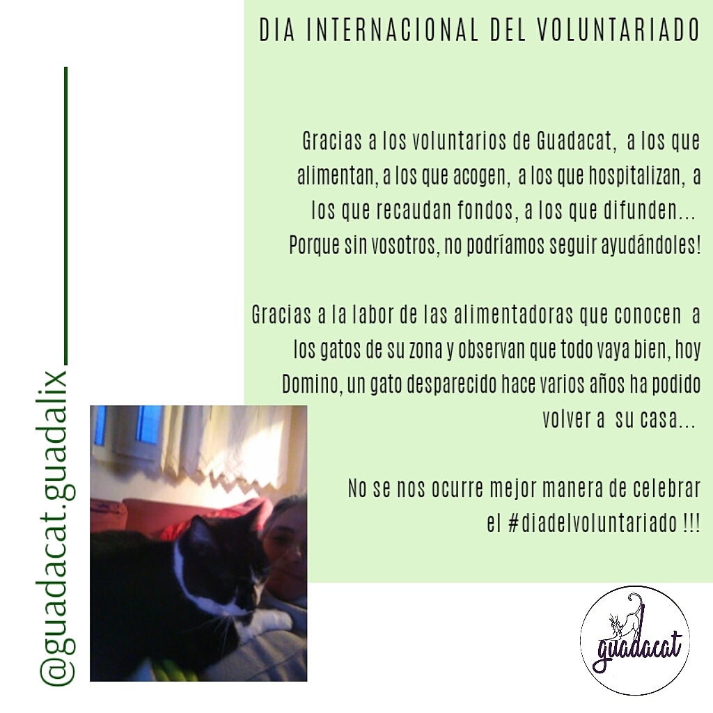 GuadacatCES's tweet photo. Gracias a ls voluntarios d Guadacat, a ls q alimentan, a ls q acogen, a ls q hospitalizan, a ls q recaudan fondos, a ls q difunden... 
Xq sin vosotros, no podríamos seguir ayudándoles!
#DiaDelVoluntariado https://t.co/f4czds6bbI