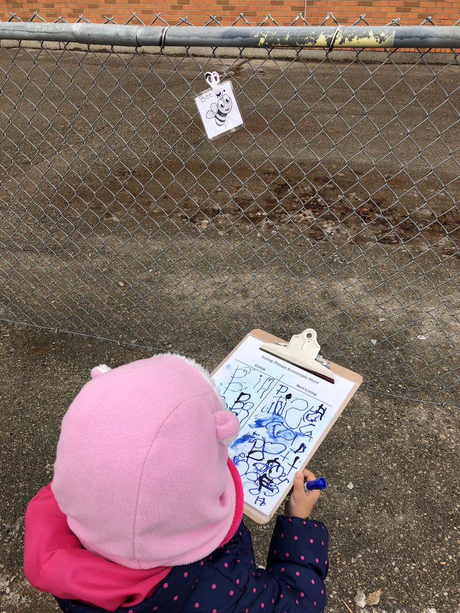 Siobhan_Gillen's tweet photo. Our kindergartens love “Write the Yard”.  We have been sorting things that are living from non-living based on things we have observed in our environment!  
#outdoorlearning #tvdsbkinder @Westmount_ps https://t.co/TAsWoNGIjb