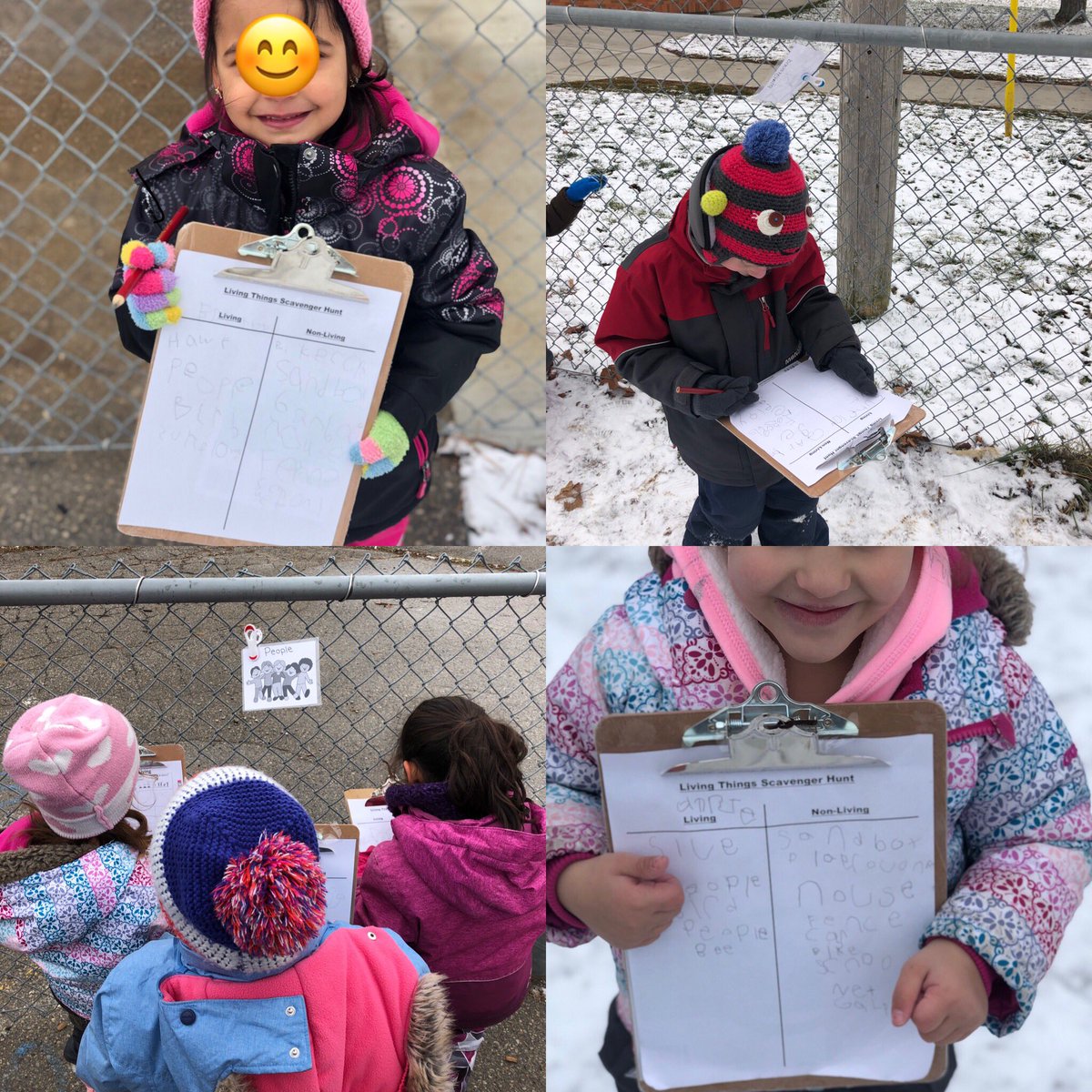 Siobhan_Gillen's tweet photo. Our kindergartens love “Write the Yard”.  We have been sorting things that are living from non-living based on things we have observed in our environment!  
#outdoorlearning #tvdsbkinder @Westmount_ps https://t.co/TAsWoNGIjb