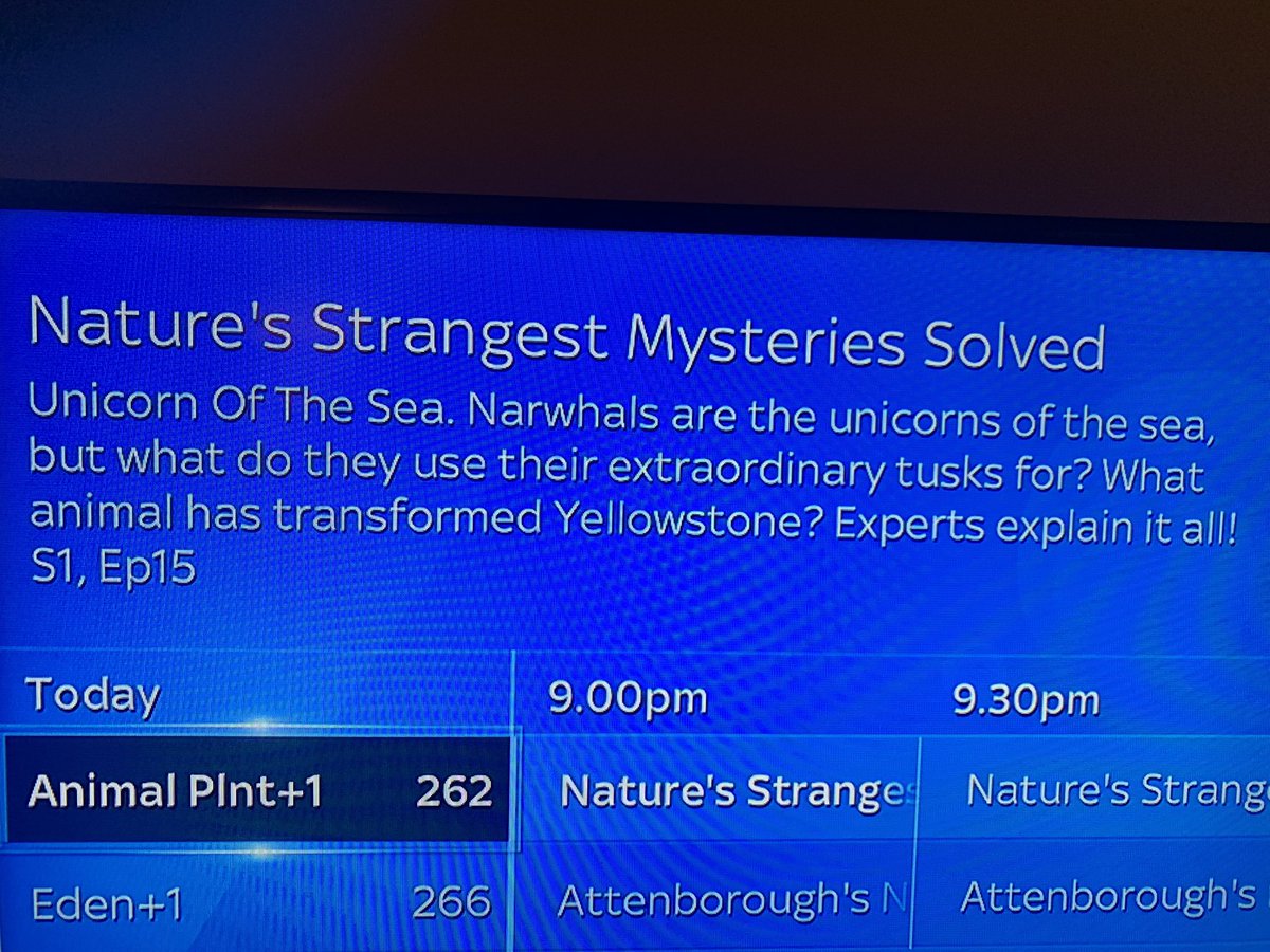 Mystery Solved 🤗#LondonBridgeAttack2019 #LondonBridge