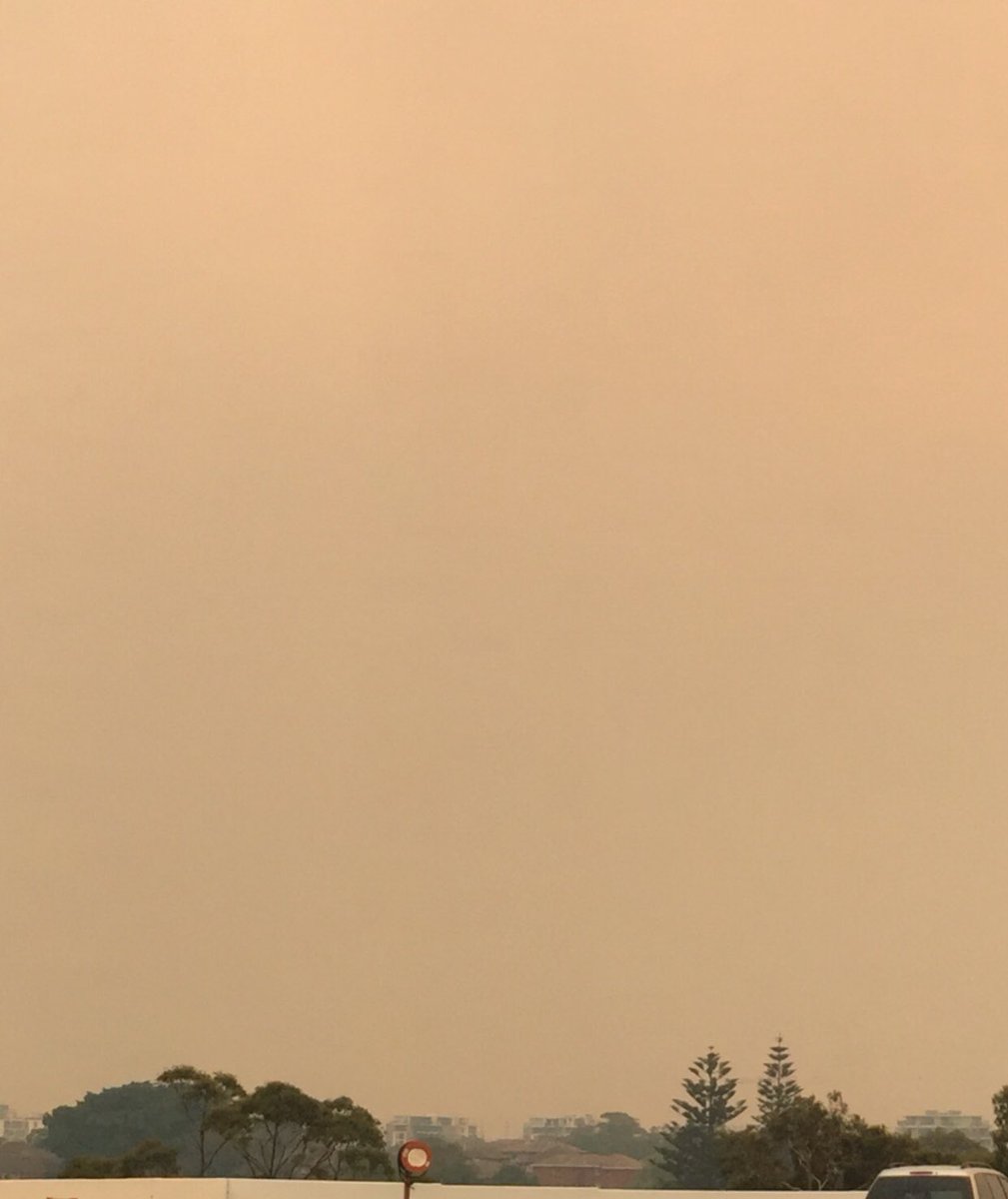 GerardJohn88's tweet photo. What once was is now no longer 😢 climate change or no climate change the outcome is the same Australia is burning 🥵 We must keep fighting for our planet , its all we have ❤️❤️🙏🙏
.
.
#ClimateEmergency #bushfiresNSW #loveearth https://t.co/Fi86Sphpvc