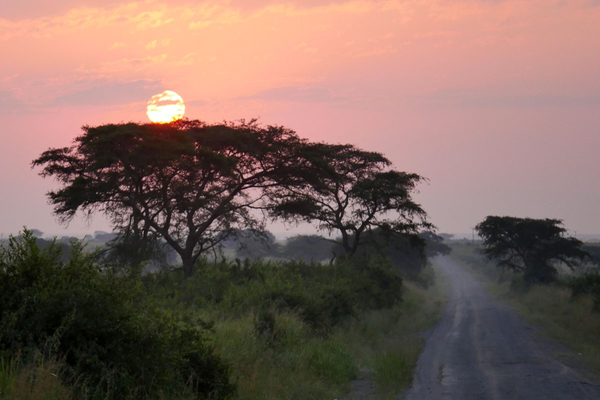 IdebaMarketing's tweet photo. Continuing a legacy is what Perri Read looks forward to most as part of her involvement in #Uganda2020. Read up on what else she is looking forward to in Africa.

https://t.co/shDQilEnFW https://t.co/SSryyDnzTf