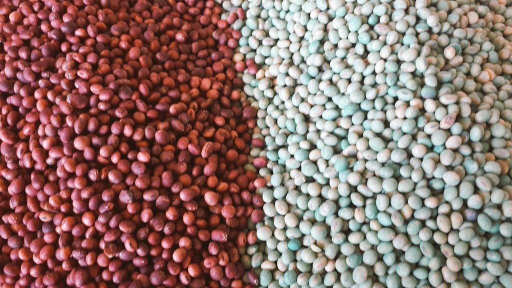 pfernandezpoeta's tweet photo. La calidad ante todo. En rojo, el tratamiento de #BAYERSEEDGROWTH en ADECOAGRO Finca Los Guayacanes. Muchas gracias por elegirnos. #createpro #createpromax #RegentEt #BiagroPB201
@GeroRadi @agusting79 @PedroSibilia @FedeGarat @mncueto @agrotvcoma https://t.co/ua4QIwourL