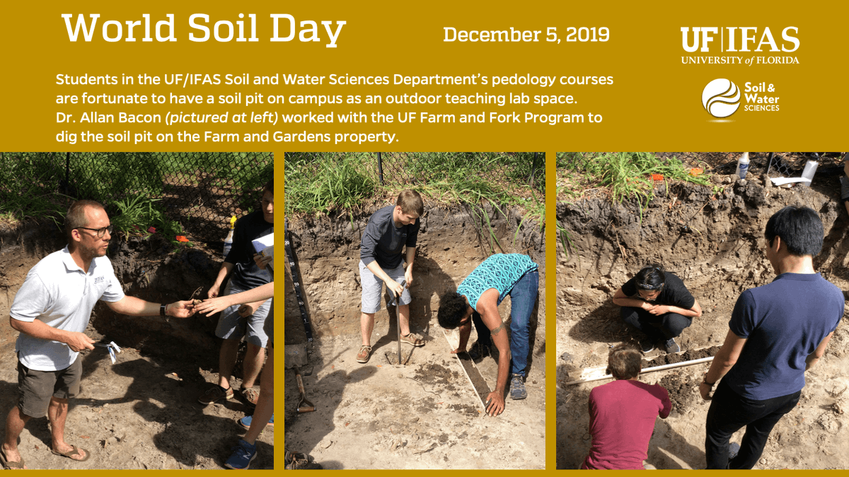 SoilWaterSci's tweet photo. #WorldSoilDay #Pedology #SoilPit #handsonlearning https://t.co/116NN3DwUC