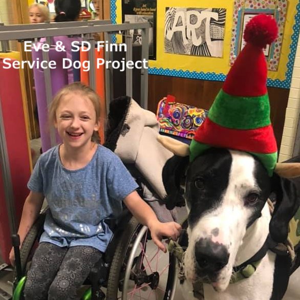 ServiceDogPr's tweet photo. You go into the store with your #GreatDane #mobility #ServiceDog. A stranger walks by &amp; starts to say something. The odds are good that it will be, "Hey! Gotta saddle for that dog?"
This is how Eve &amp; SD Finn avoid the question

#Dogs #BigDogs #Elf
@humorandanimals @dogcelebration https://t.co/1wUqrvhzN4