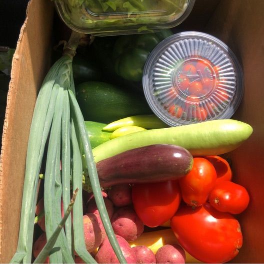 Revolutionary Earth tweet media