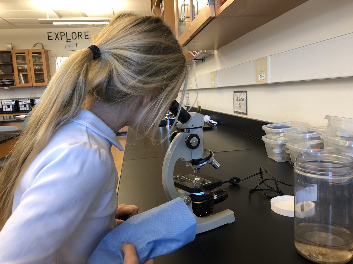Kayla_C_Wilson's tweet photo. 1st graders felt like true scientists today as they looked through the lens of a microscope at real microorganisms. https://t.co/V1xKEjcfDY