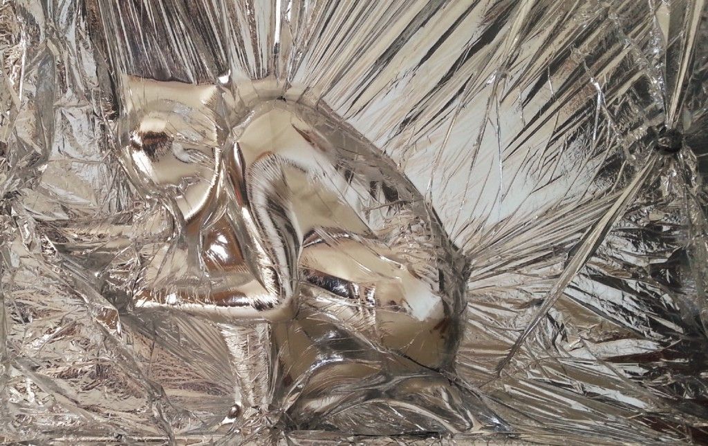protolifemedia's tweet photo. This Australia-based artist's work is all about "exploring the slipperiness of where science and technology meets the body." @lucy_mcrae #biometricmirror #biotechnology #scifiart #bioart #neobio
https://t.co/ptC3b7znFM https://t.co/bGZ1Xii7O4