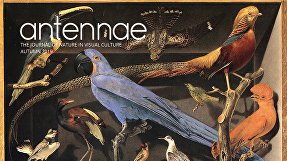 postnatural's tweet photo. Great looking new issue of Antennae with a feature article on the Making Nature exhibition we co-curated with Honor Beddard at the Wellcome Collection in 2016. Includes one of Rich Pell's photographs that was shown in the exhibition. https://t.co/BKmGQGSit5 https://t.co/0QklqGr8B8