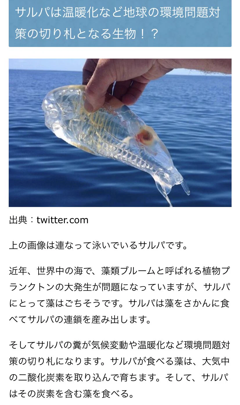 @sirokuro0131 地球を救ってくれている生き物みたいです 