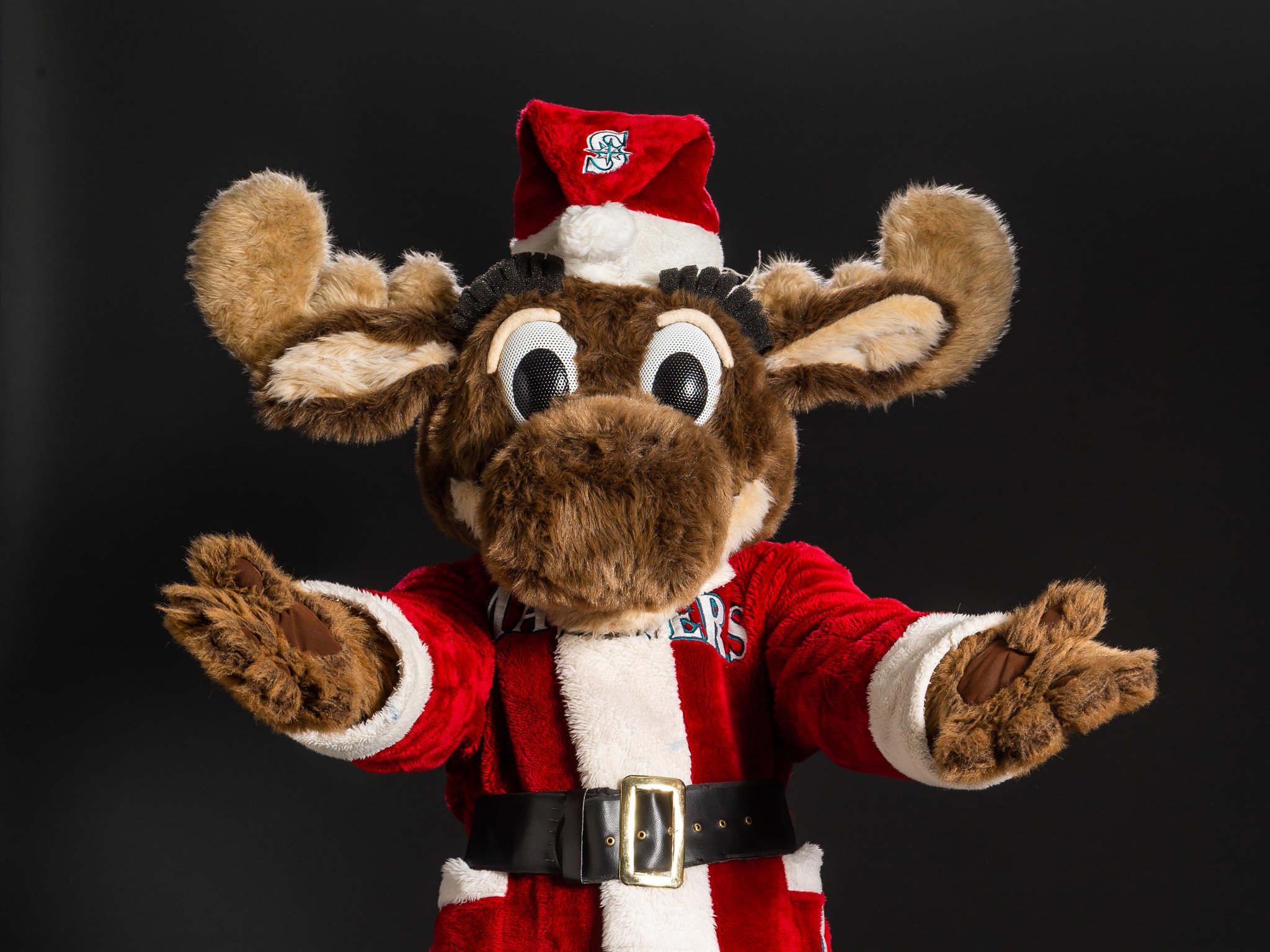 mariner moose stuffed animal