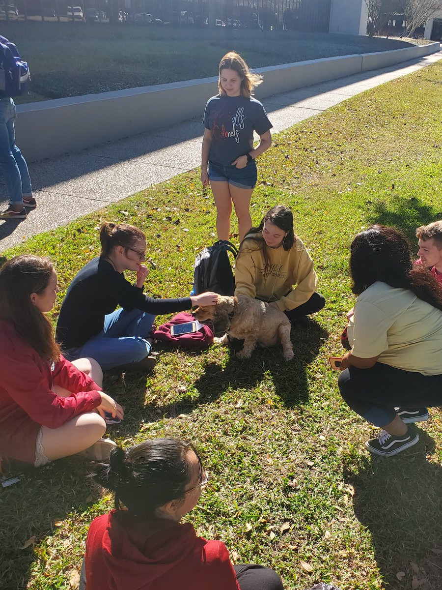 NichollsLibrary's tweet photo. We hope everyone had a successful first day of final exams! Thanks to everyone who attended Take A Paws today.

All the pictures taken today are on our Facebook page in the December 2019 album if you'd like to see all the cuddles. 

#NichollsLibrary #TakeAPaws #DestressFest https://t.co/0aaNeauhUl