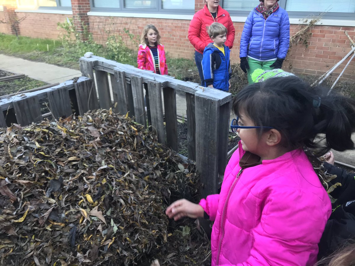Marycharlton8's tweet image. The tiniest of my gardeners ❤️ Ms. Banfield’s class learned all about living vs. non-living things and then raked and collected leaves for our compost. @MrsBanfieldSLES @slespta @StratfordLndgES #compostingiscool #scientists