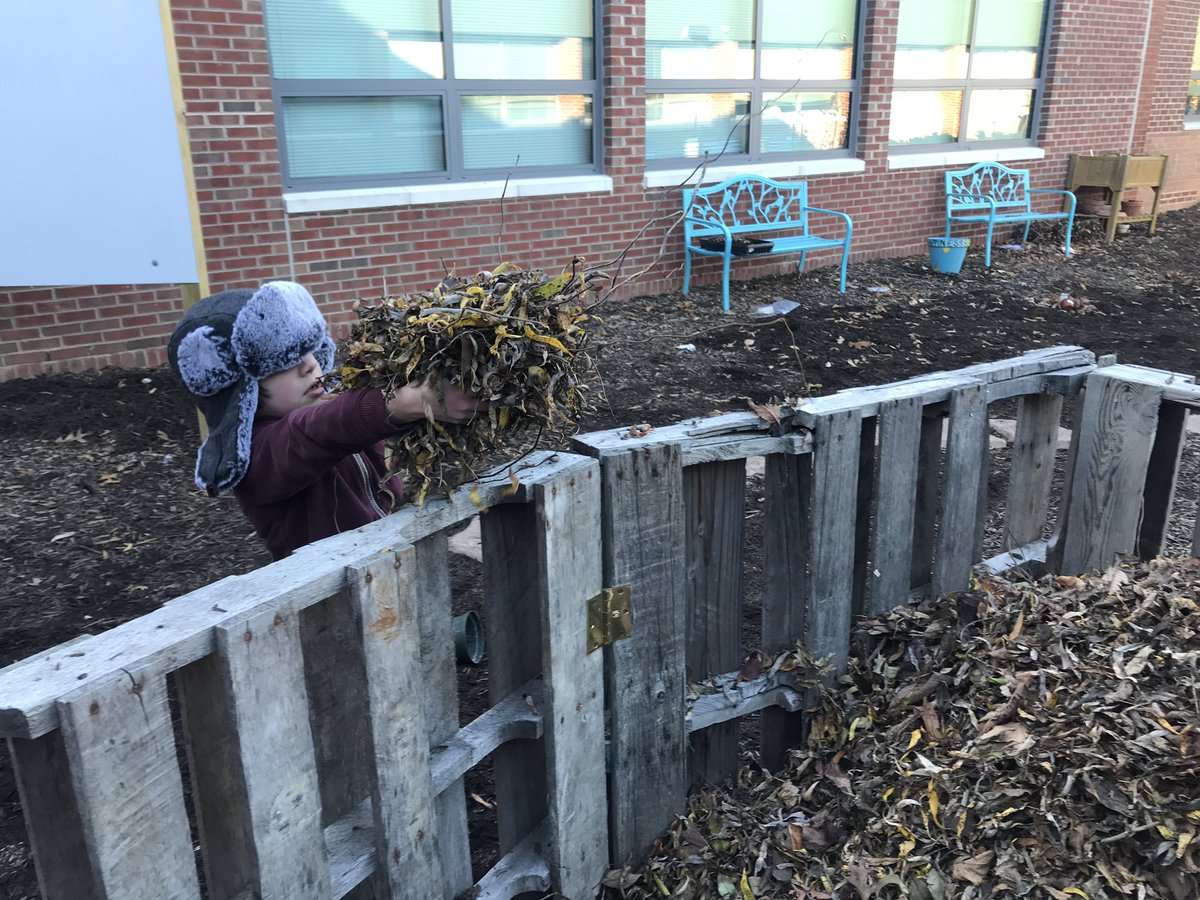Marycharlton8's tweet image. The tiniest of my gardeners ❤️ Ms. Banfield’s class learned all about living vs. non-living things and then raked and collected leaves for our compost. @MrsBanfieldSLES @slespta @StratfordLndgES #compostingiscool #scientists