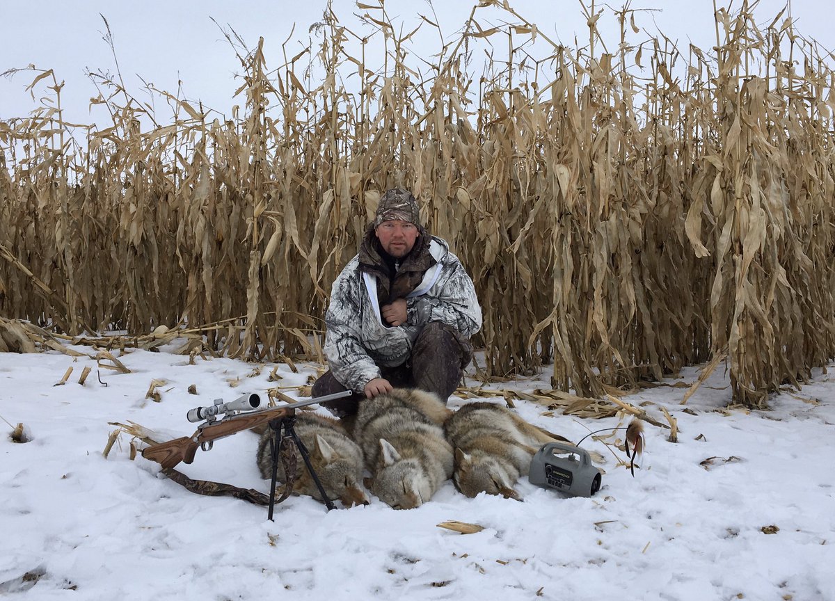 blue_unrau's tweet photo. Had a great day hunting coyotes today. #foxpro #furtakers https://t.co/gqdK1cl5g5