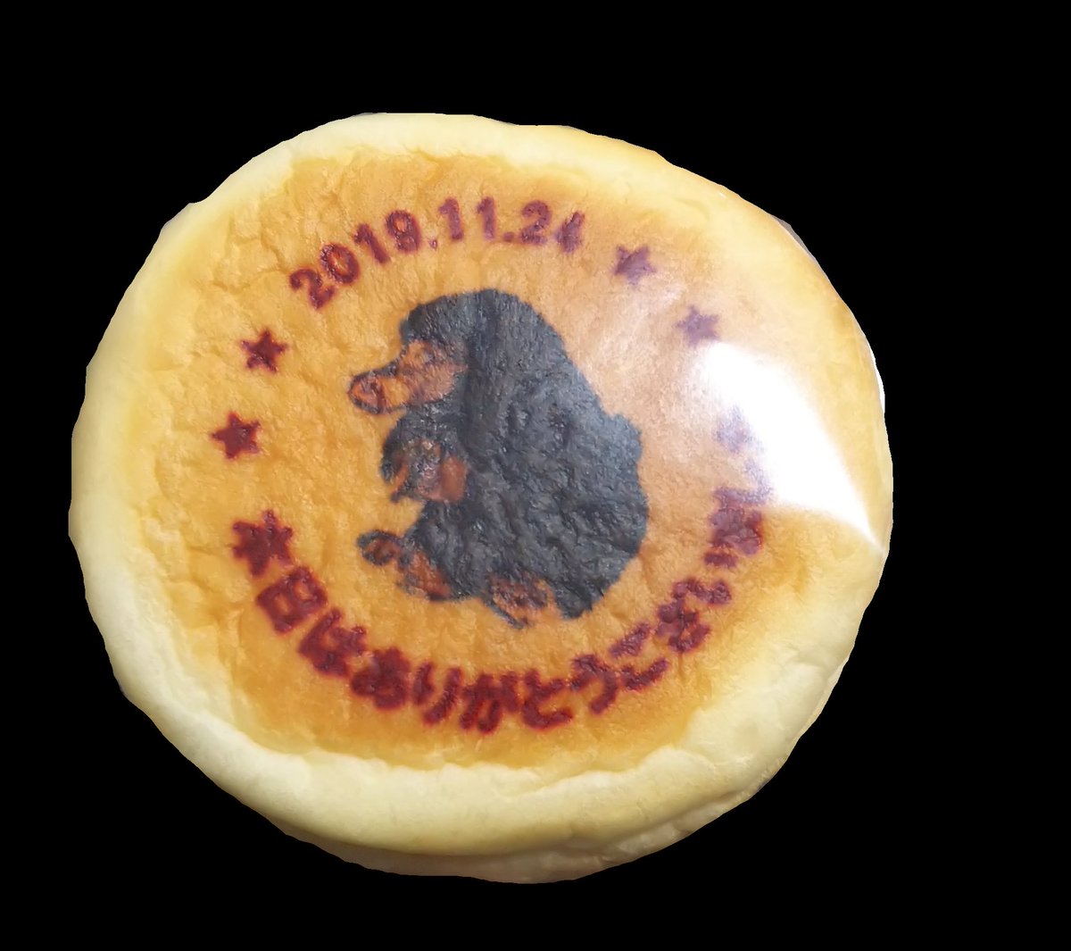 大凪鷹 自粛中 ハリポタ ポモーナ スプラウト