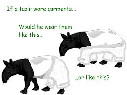 ExMoNeverMo's tweet image. #important #question #mormonhorse #tapir #garments #exmo