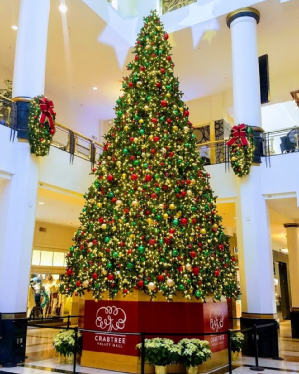 Explore Raleigh tweet media