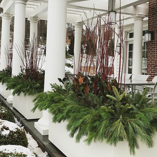 Holiday Ready! #landscapedesign
#landscapedesigner #landscaping #landscape #gardendesign #gardendesigner #nativeplants #pollinatorgardens #christensenlandscape  #nativestone #landscapeconstruction #gardensofinstagram #stonewalls #granite #outdoorliving #… ift.tt/2LGVkxV