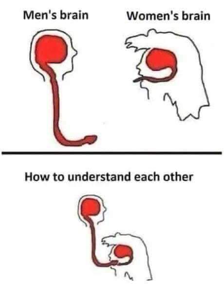 OffensivememeL's tweet photo. Get connected #offensivememes #meme #memes https://t.co/hoDB2Z6yTR